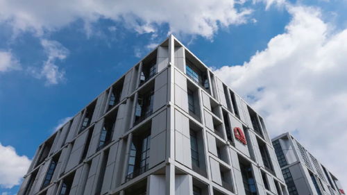 東方雨虹再度躋身2024全球建筑材料上市公司綜合實力排行榜，技術(shù)服務成核心競爭力